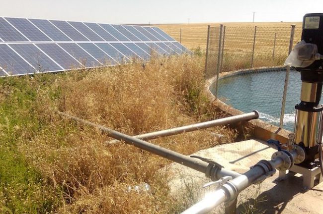 Desarrollan panel fotovoltaico para sustituir bombas de gasolina que productores agropecuarios utilizan